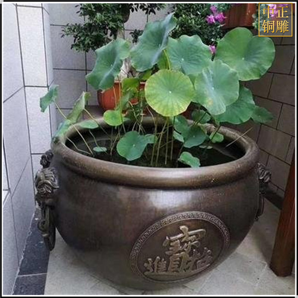 1620626733177511.jpg 荷花大缸.jpg